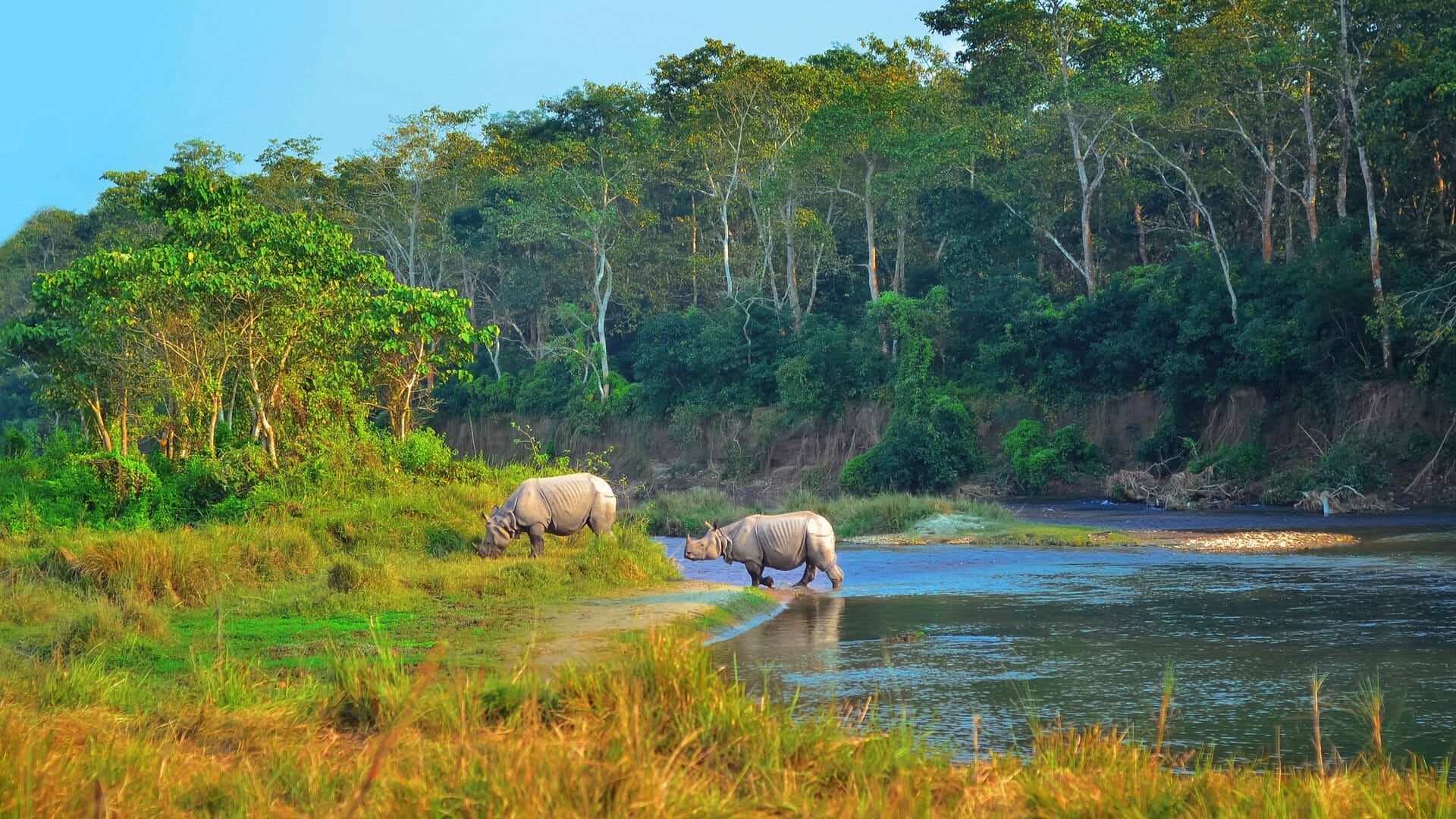 Chitwan